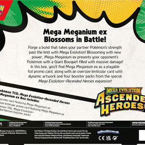 Pokémon Kort Mega Evolution Ascended Heroes Mega Meganium Ex Box
